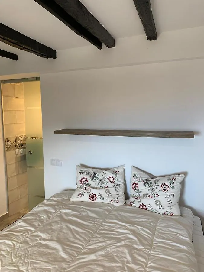 Apartamento Drago Appartamento Santa Cruz de Tenerife